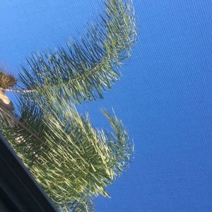 Meet your Posher, Jeremy